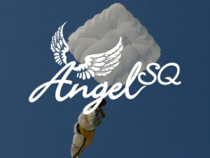 Paracaídas de emergencia Angel SQ